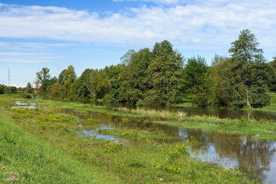 Warta w miejscowości Słowik