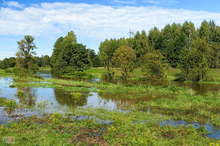 Warta w miejscowości Słowik