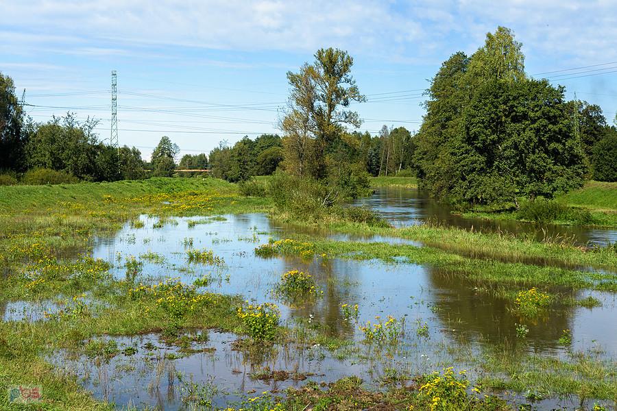 Warta w miejscowości Słowik