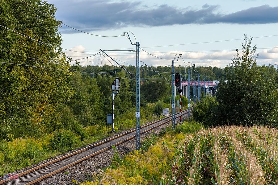 Linia D29-146 i semafor wjazdowy do Rząsawy od strony Cykarzewa