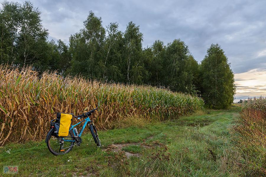 Lubojenka i mój Cube