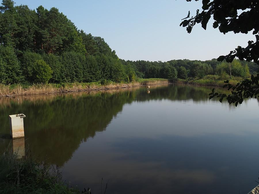 Stawy Ośniańskie