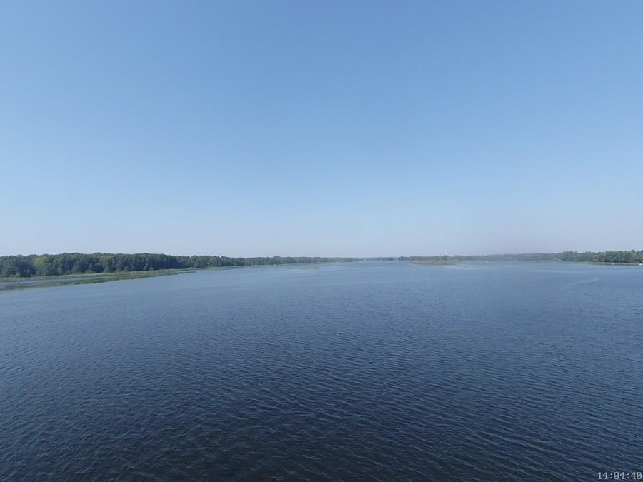 Narew w Wierzbicy