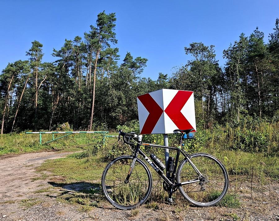 Gdzieś przy wycince