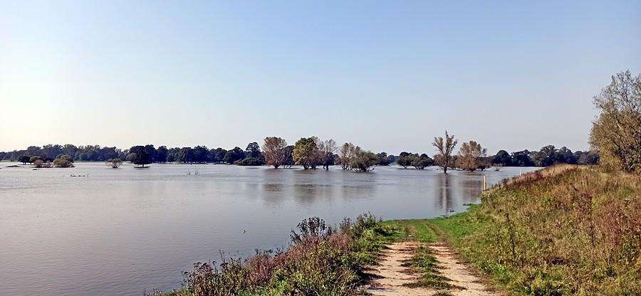 Odra w Bełczu Wielkim