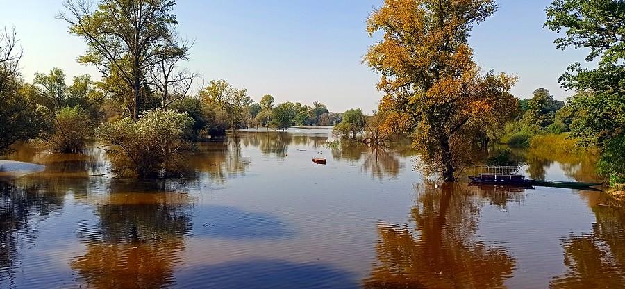 Ujście Baryczy do Odry w miejscowości Wyszanów