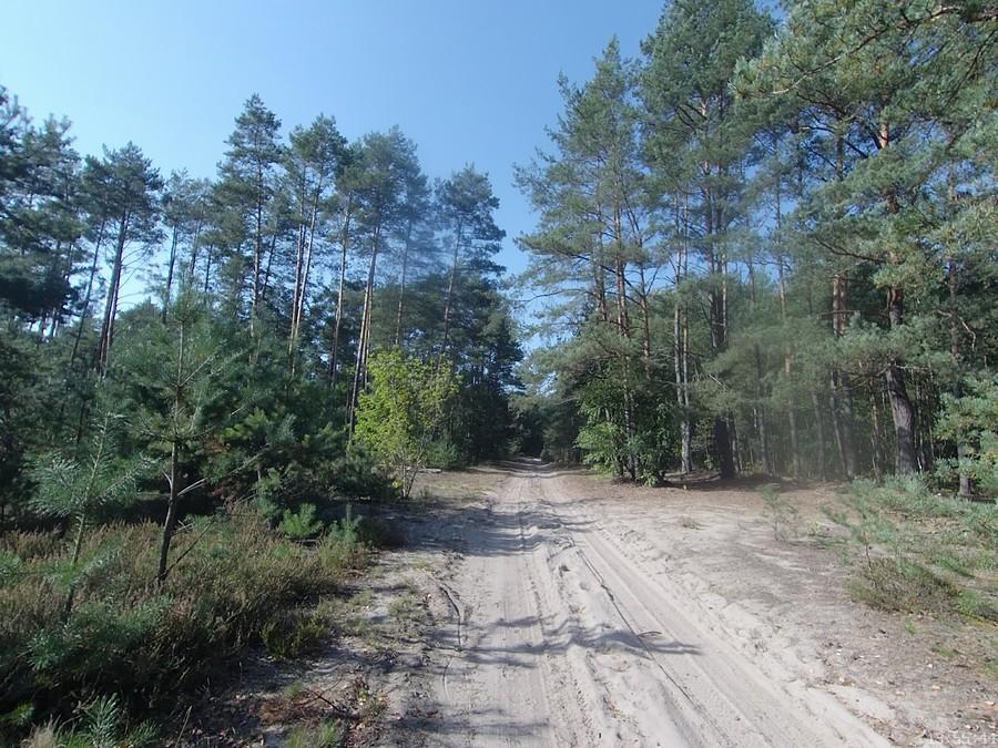 ... lecz koniec żałosny