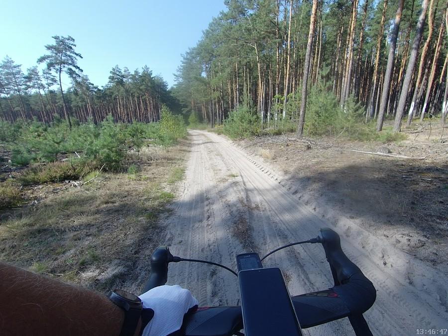Maszeruj, albo giń!