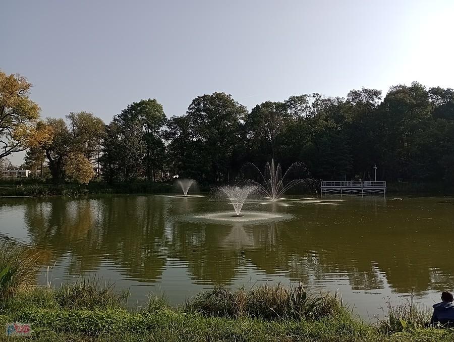 Staw w Ołtarzewie