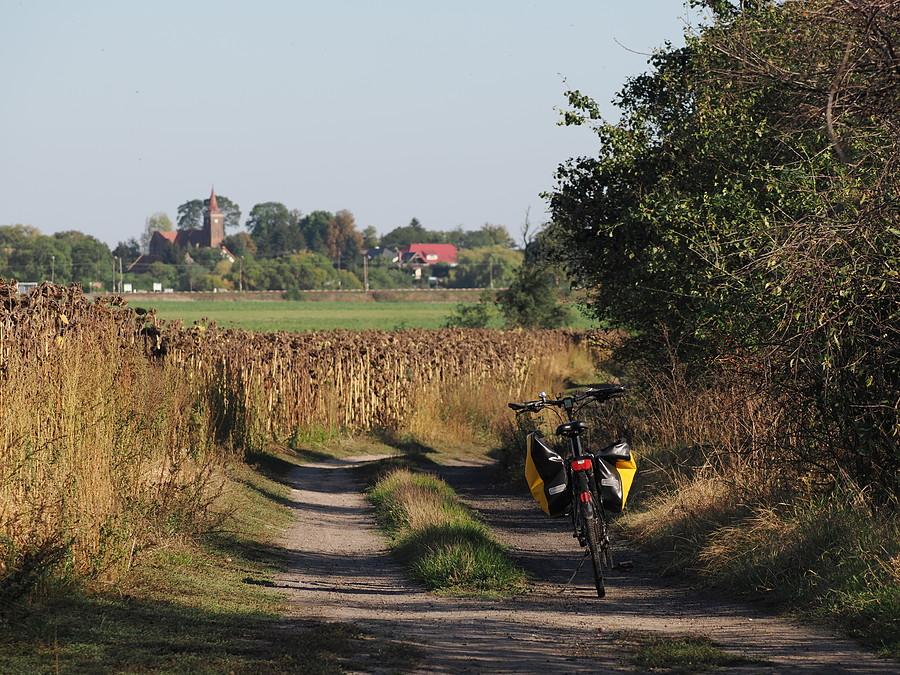Widok na Drzeńsko, przy uschniętym słonecznikowym polu