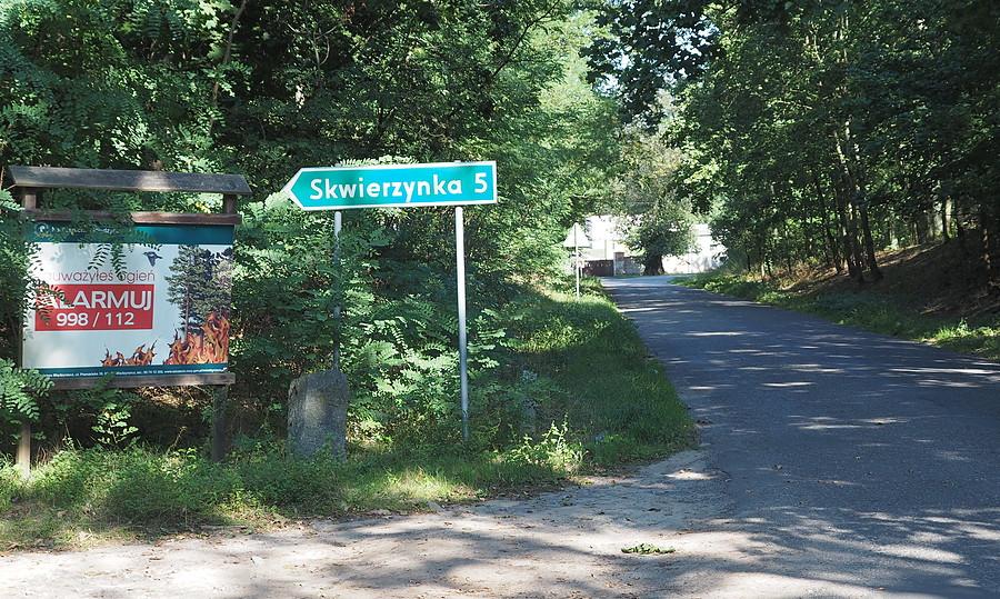 Do kolonii Skwierzynka