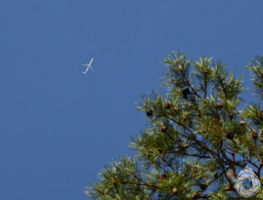 dziś bez chemtrailsów nad kieleckiem