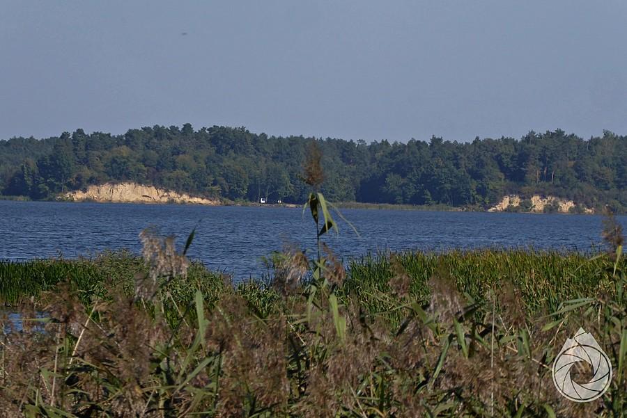 Nielisz