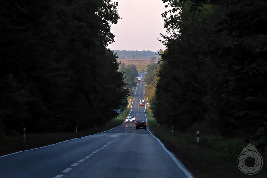 prosta zasieniawska