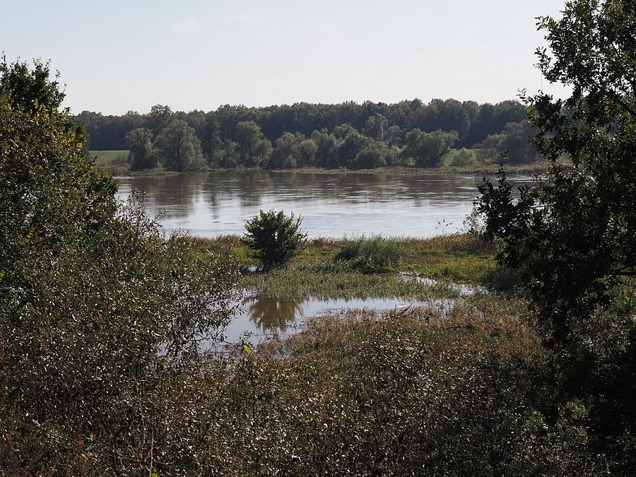 Oderblick pod Kunicami