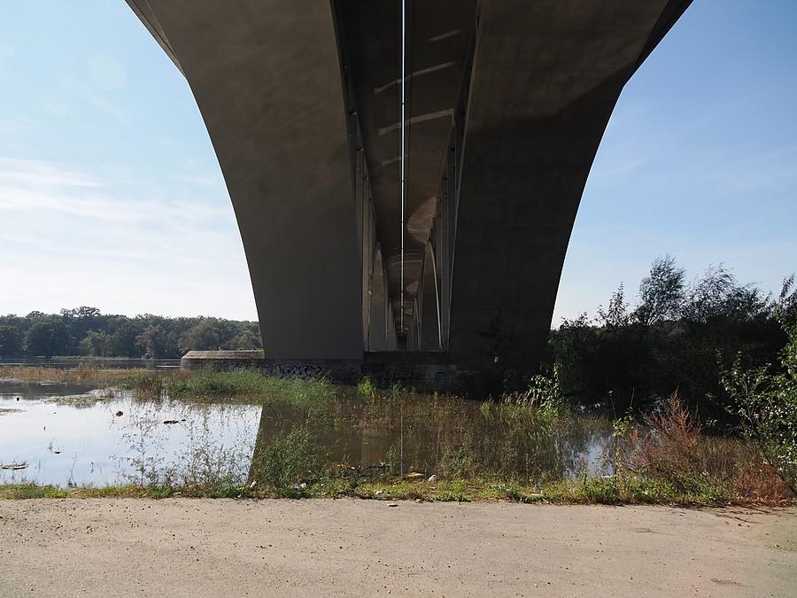 Odra dochodzi do drogi pod mostem drogowym w Świecku