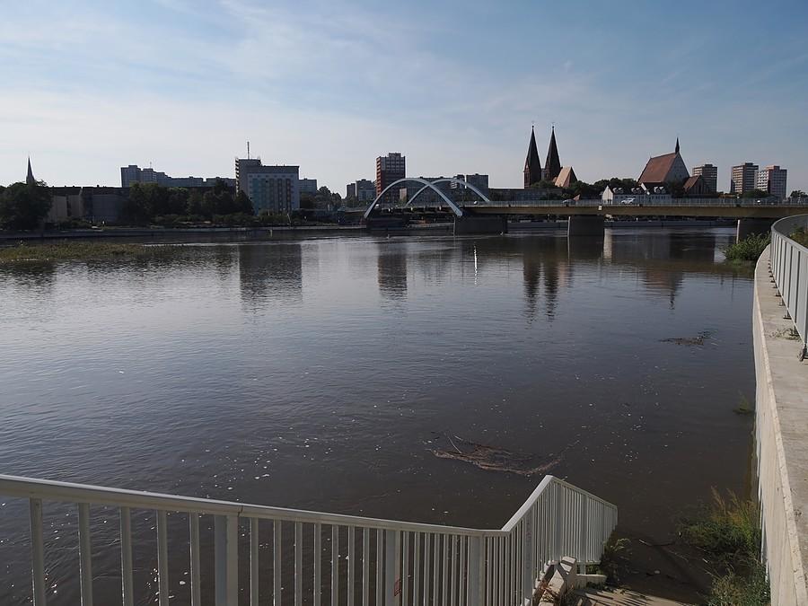 Widok na Frankfurt nad Odrą i rozlaną Odrę