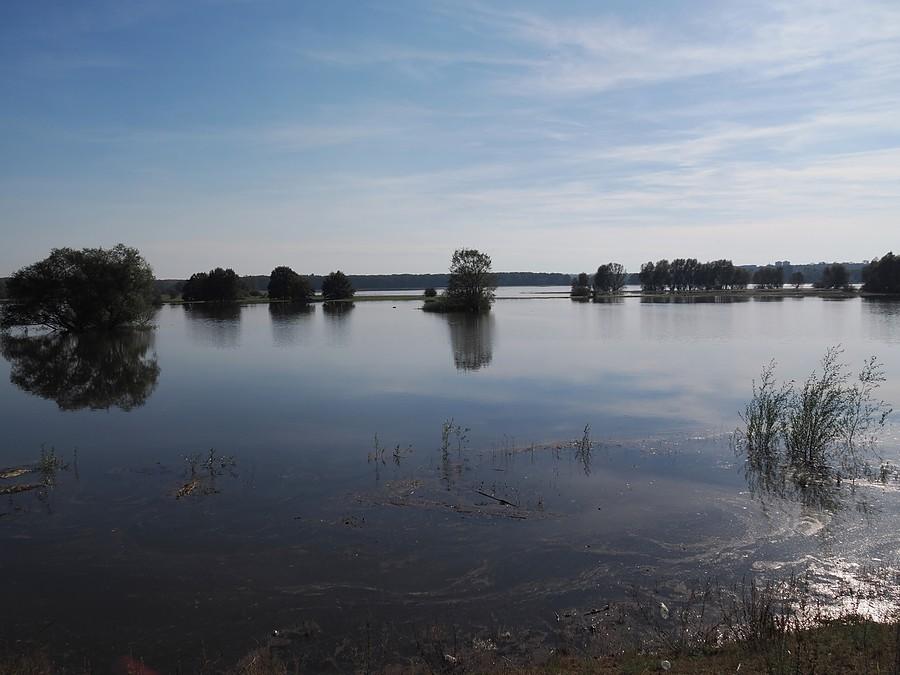 Zalane poldery w Słubicach