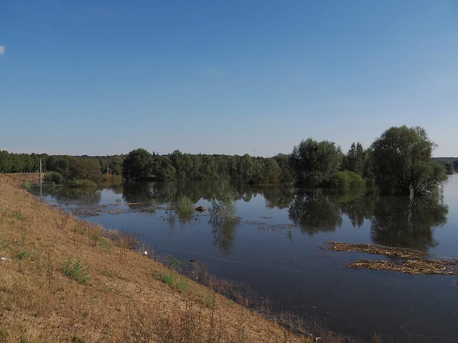 Odra sięga już wału w Słubicach