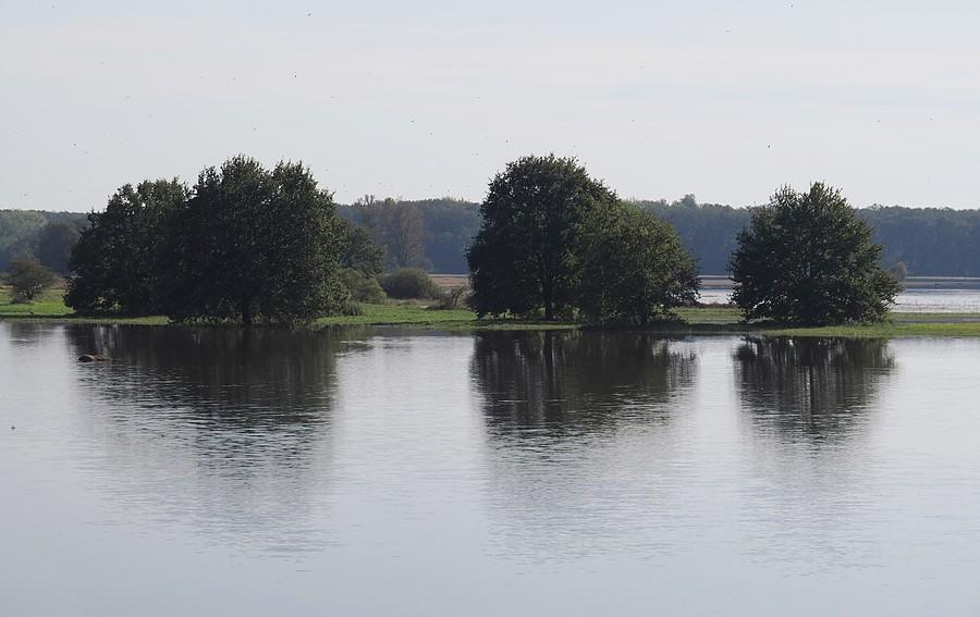 Ostatnie wyspy na polderach w Słubicach