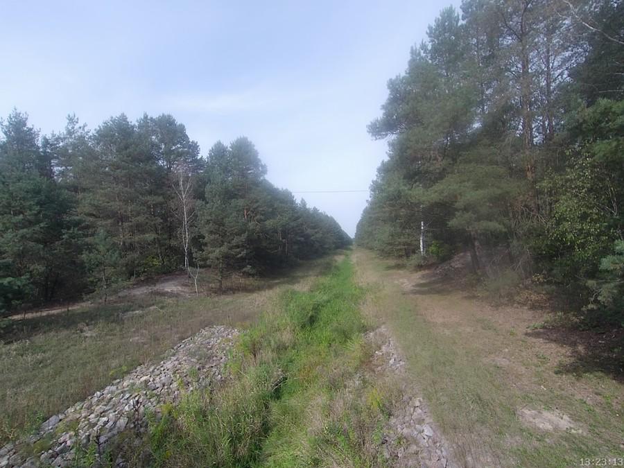 Wyschnięta rzeczka Czarna
