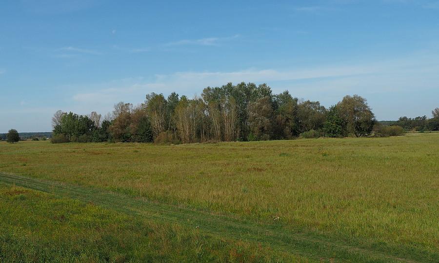 Nadwarciańskie łąki
