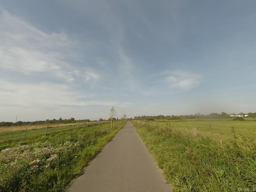 Droga rowerowa w Michałowicach