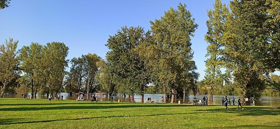 Odra w Głogowie zalewa plac festynowy