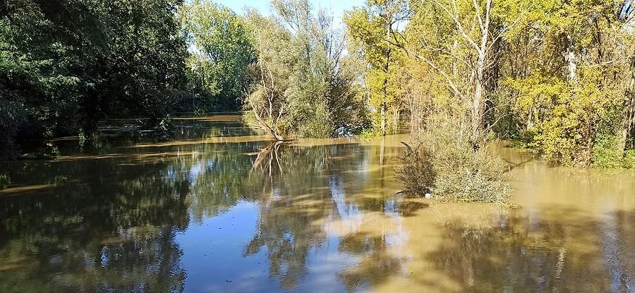 Czarna przed ujściem do Odry w Głogowie w rejonie Widziszowa