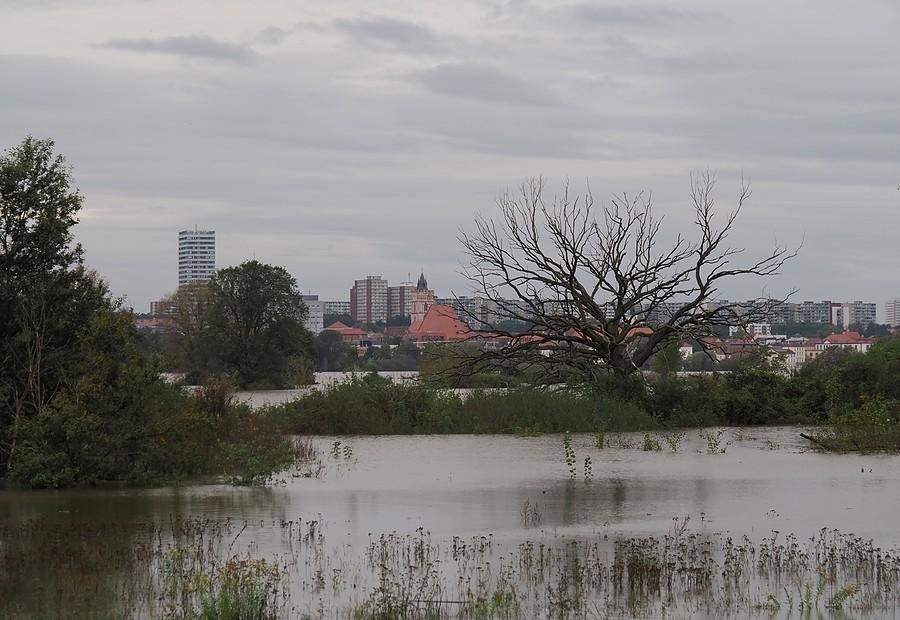 Zalane poldery w Słubicach, widok na Frankfurt nad Odrą