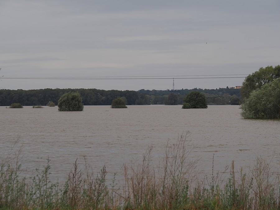 Zalany polder w Słubicach