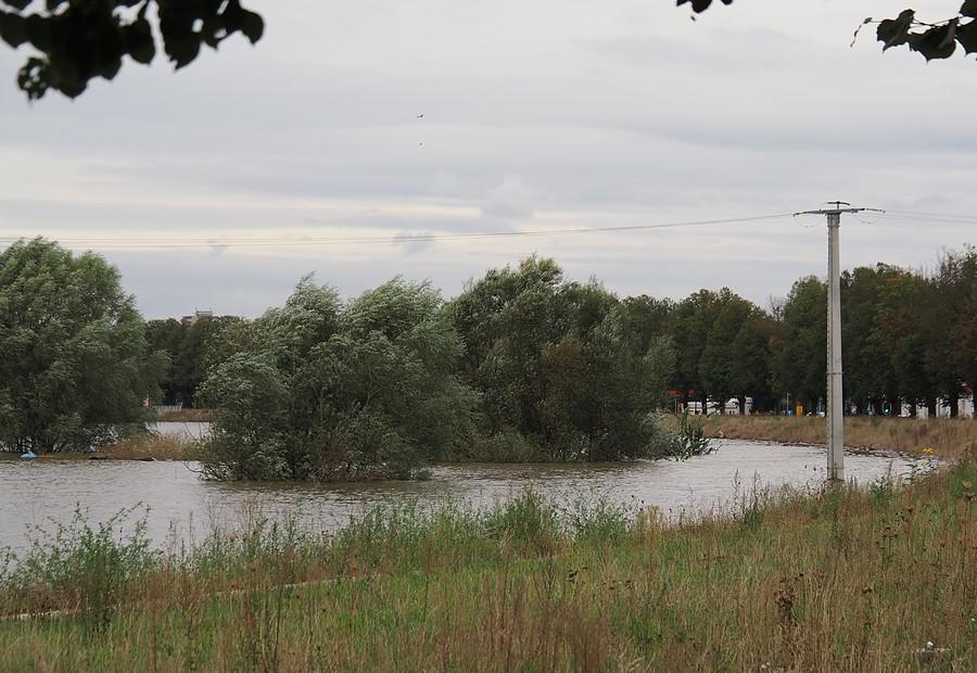 Zalany polder w Słubicach