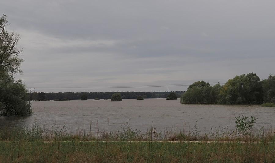 Zalany polder w Słubicach