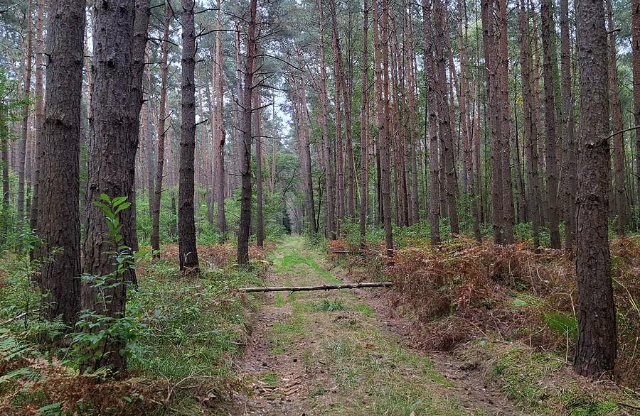 Naturalna blokada
