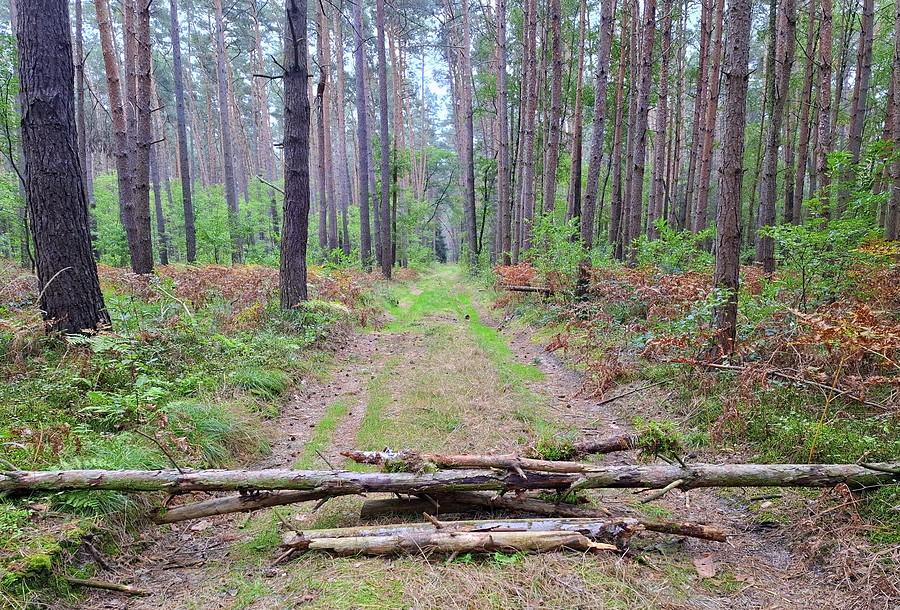 Blokada poprawiona