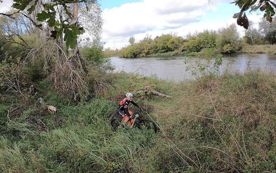 Na nadwarciańskim w Luboniu sporo chaszczy i niemało zwalonych drzew/gałęzi