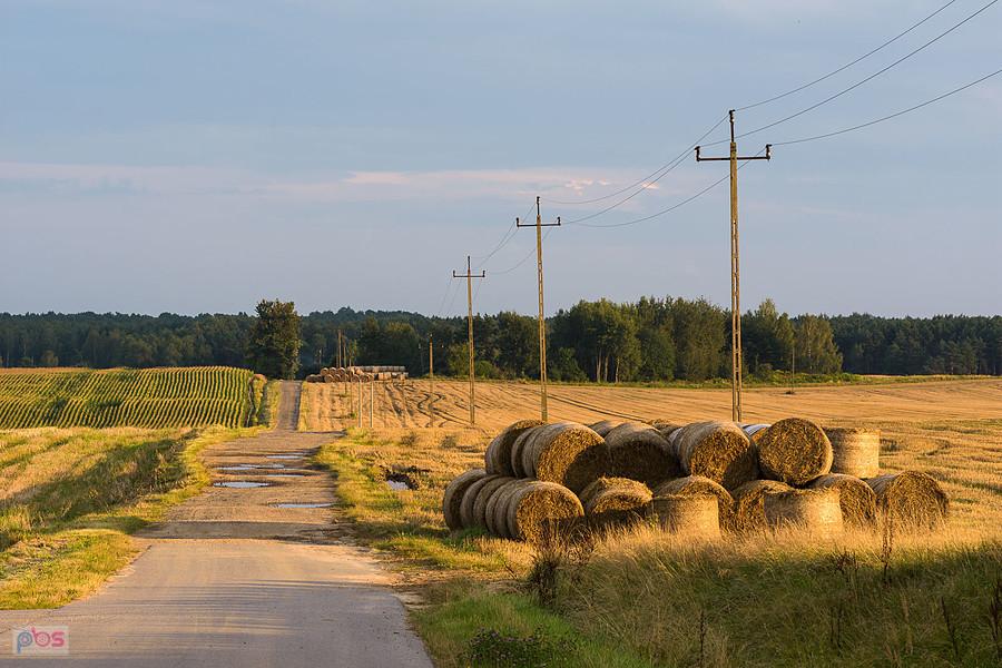 Myszków, dzielnica Mrzygłódka
