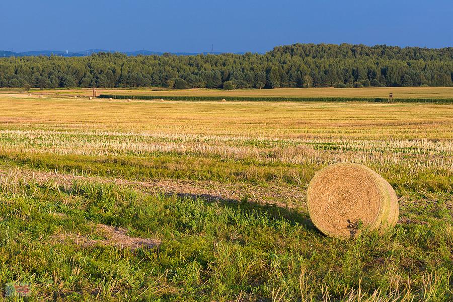 Myszków, dzielnica Mrzygłódka