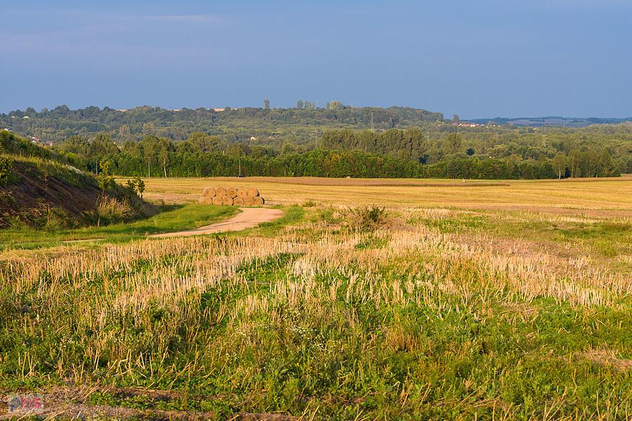 Myszków, dzielnica Mrzygłódka