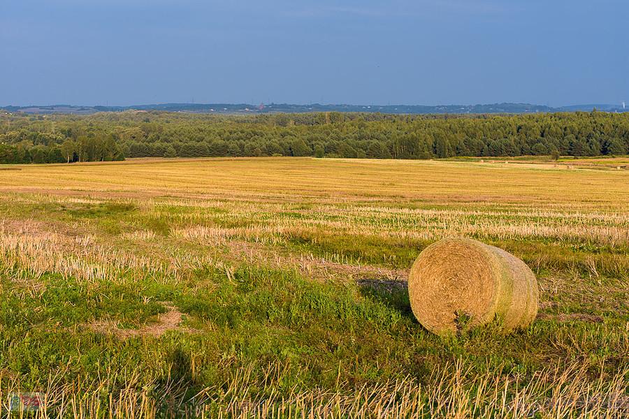 Myszków, dzielnica Mrzygłódka