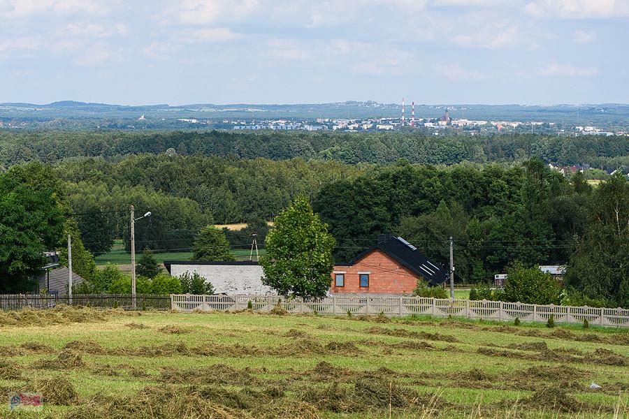 Widoki z pogranicza miejscowości Pińczyce i Koclin