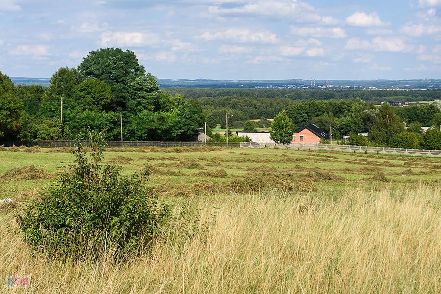 Widoki z pogranicza miejscowości Pińczyce i Koclin