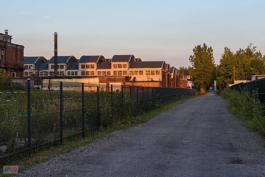 Myszków, dzielnica Pohulanka (Światowit)