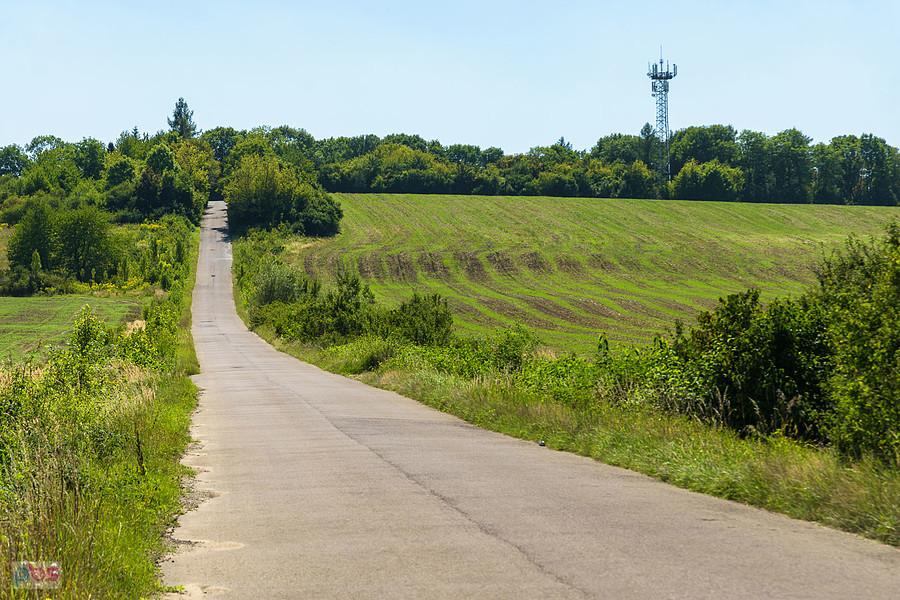 Stromy podjazd - ul. Taduesza Kościuszki - Wysoka w gminie Łazy