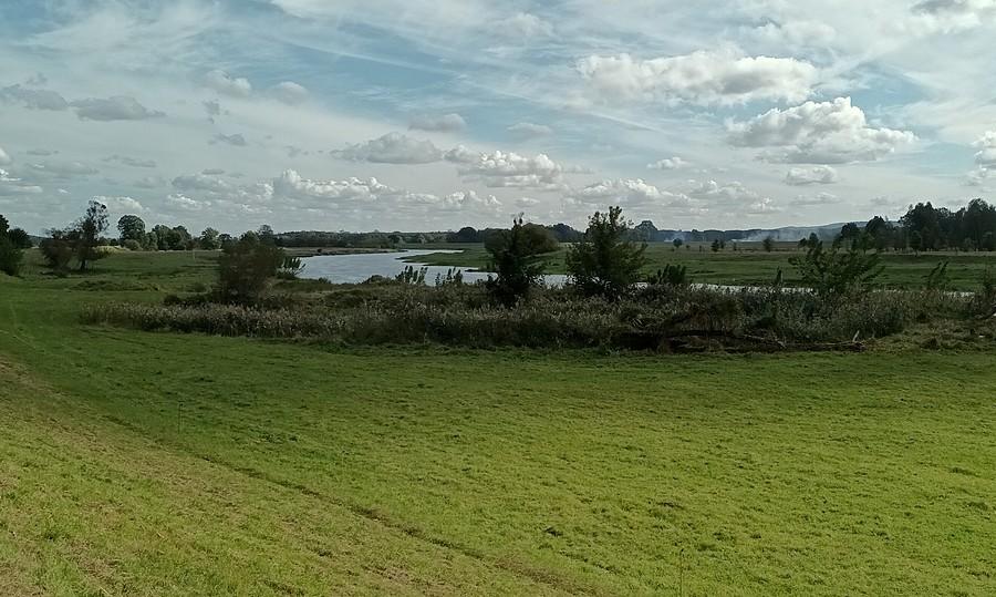 Na Hojlandzie