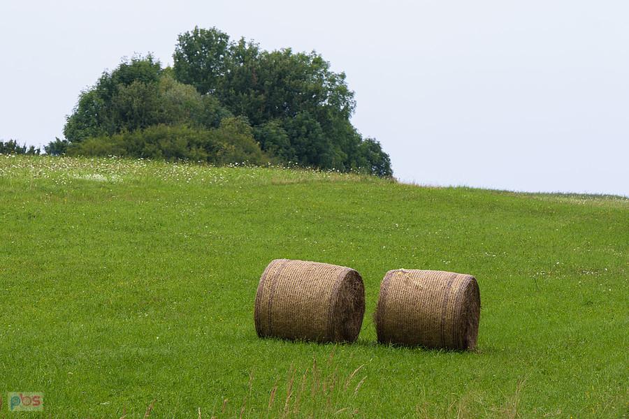 Lgota Górna