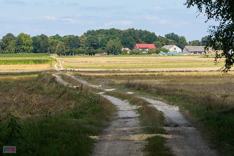 Krzepice w powiecie włoszczowskim