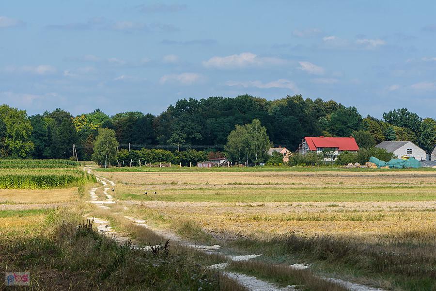 Krzepice