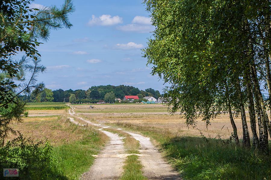 Krzepice