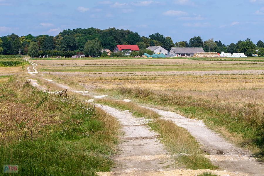 Krzepice